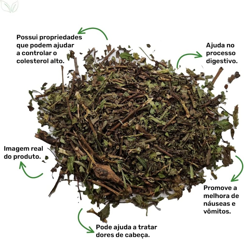 Chá de Hortelã Mentha Arvensis L. Grupo Rocha Saúde 2