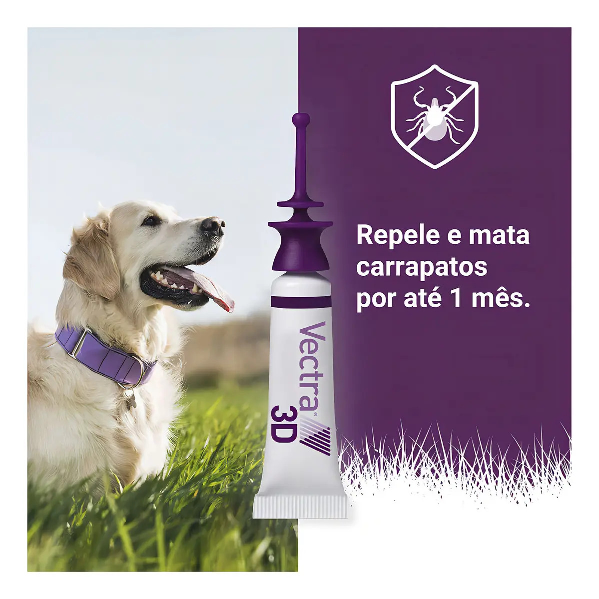 Vectra 3D para Cães 5