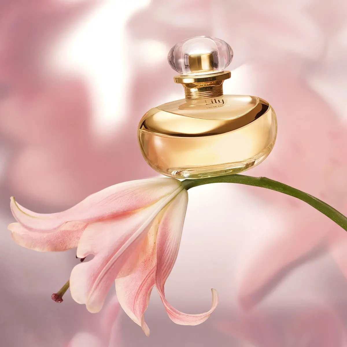 Lily Eau de Parfum 5