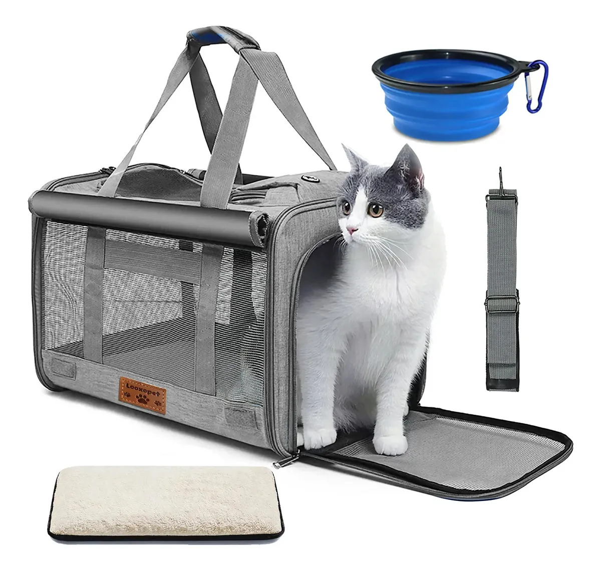 Top 10 Melhores Bolsas de Transporte para Gatos e Cachorros em 2026 (Duke & Dixie e mais) 2