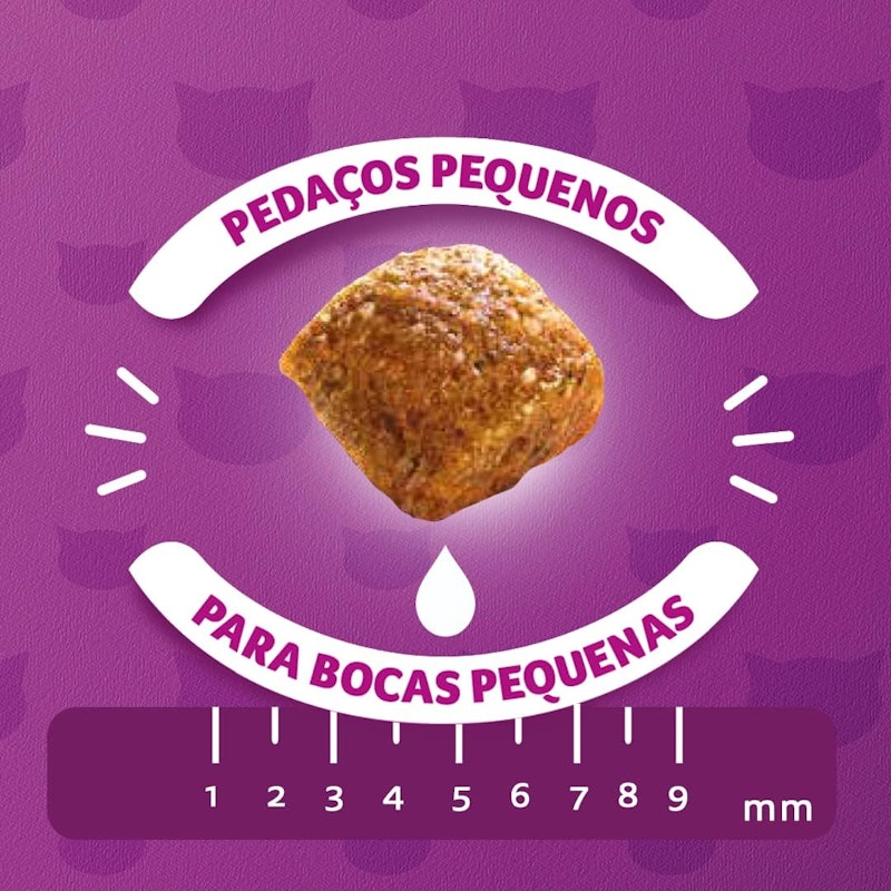 Ração WHISKAS Carne e Leite Gatos Filhotes 4