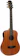 GIANNINI Violão Aço Travel Eletroacústico Giannini Performance GTG-36S EQ Walnut Satin (WS) 1