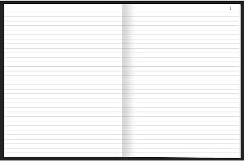 Caderno Brochura Capa Dura Universitário Folhas Numeradas Pepper 2