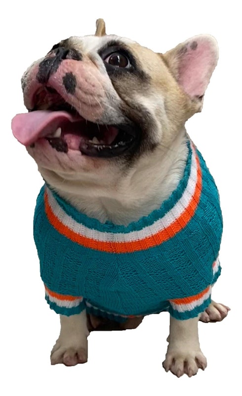 Roupinha Pet Katlen Tricot Canetran Listra Gola 3