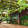 Hotel Fazenda Hípica Atibaia 1