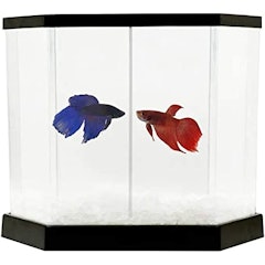 Beteira Betta-Flex