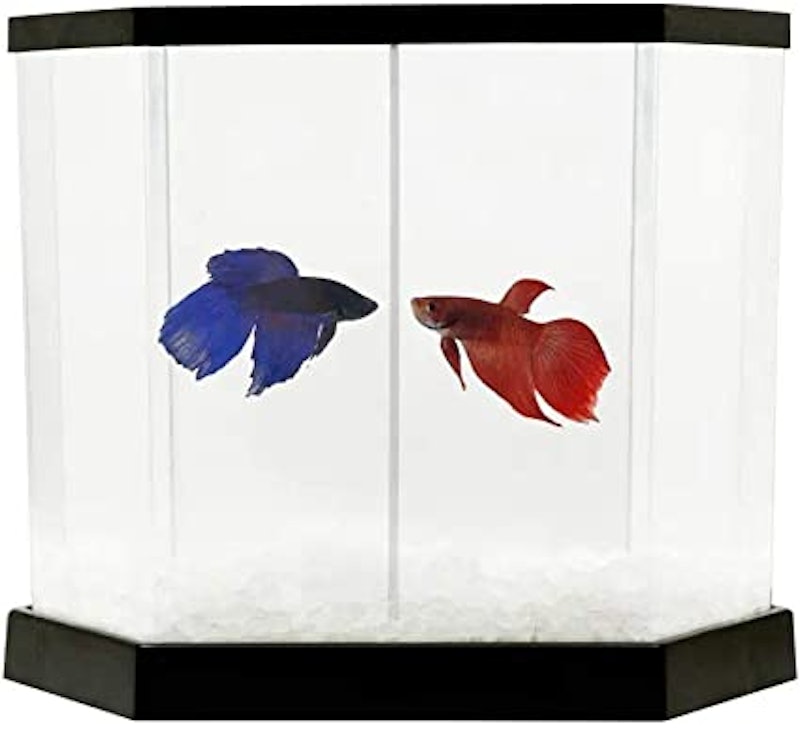 Beteira Betta-Flex 1