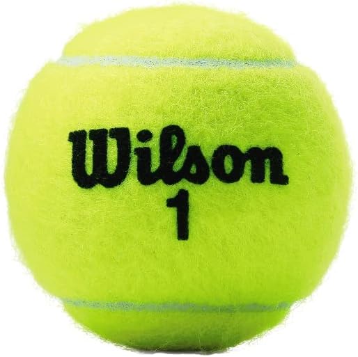 Bola de Tênis Championship Extra Duty 3