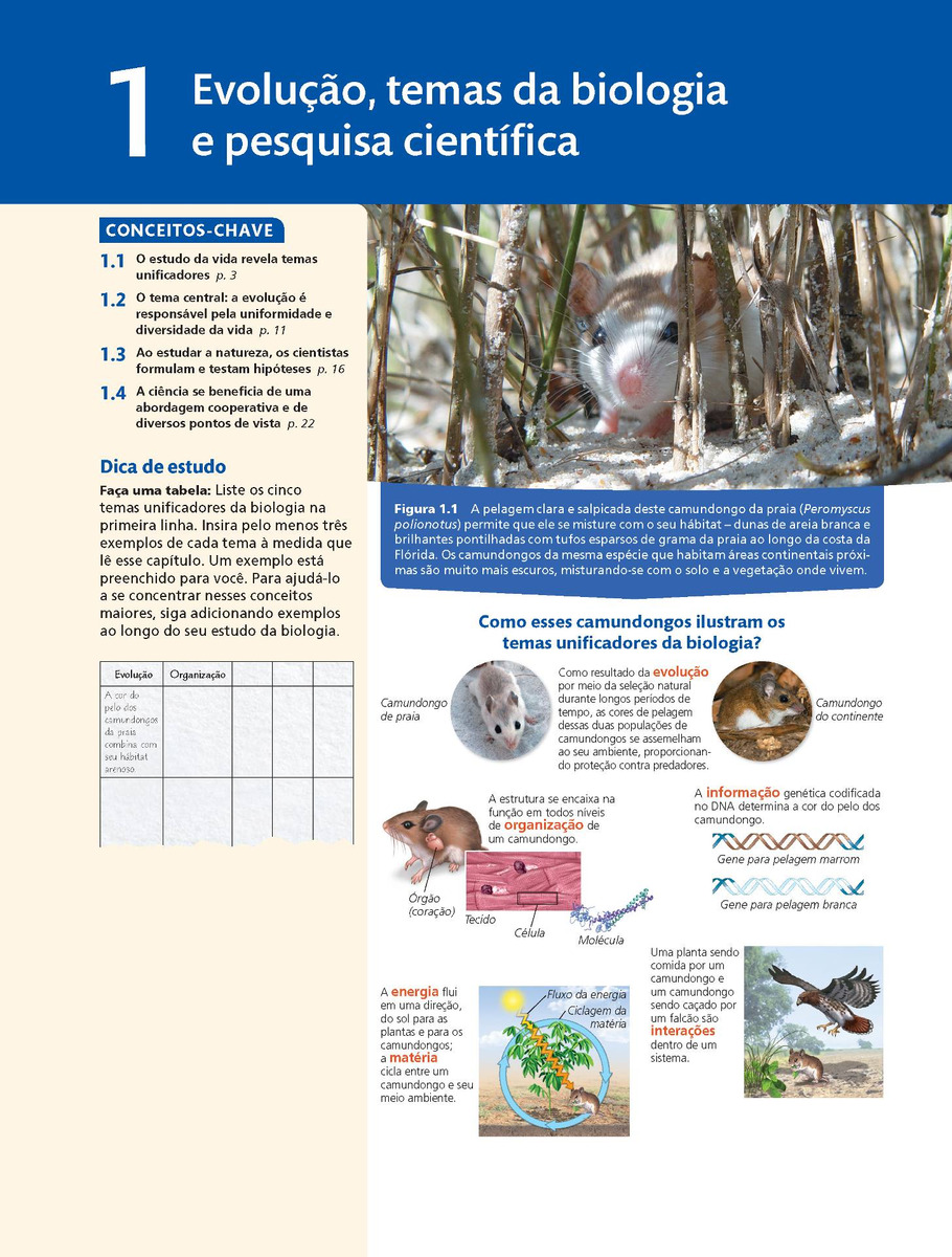 Biologia de Campbell  2