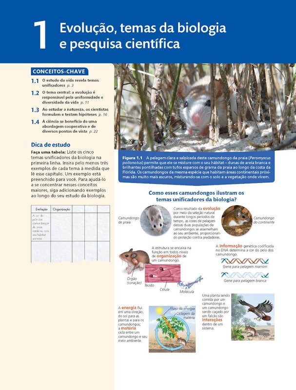 Biologia de Campbell 2