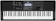 CASIO Teclado Casio 1