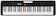 CASIO Teclado Musical Casio 1