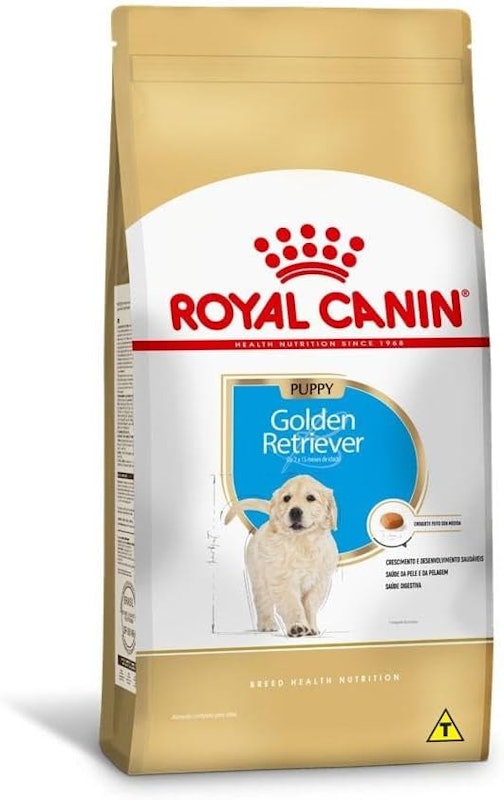 Golden Retriever Puppy 1