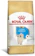 ROYAL CANIN Golden Retriever Puppy 1