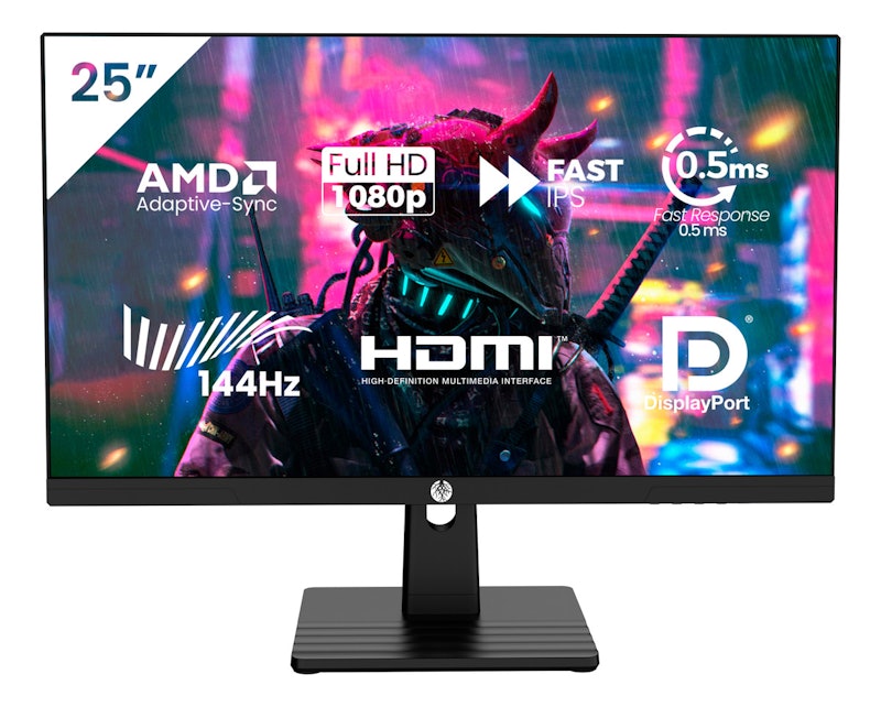 Monitor Profissional FHD Haiz HZ-LM25GM 2