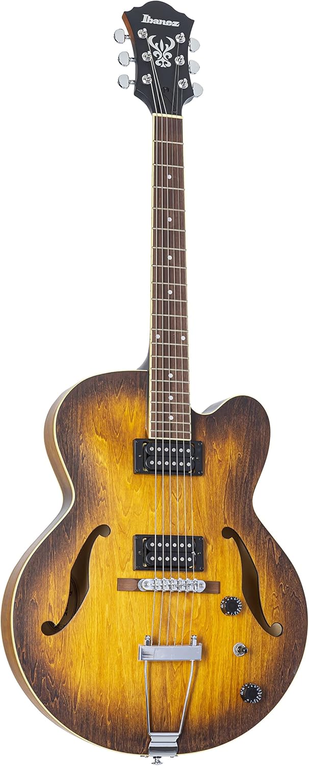 Hollow Body Ibanez 3