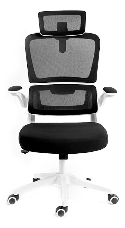 Cadeira Presidente Z411 1