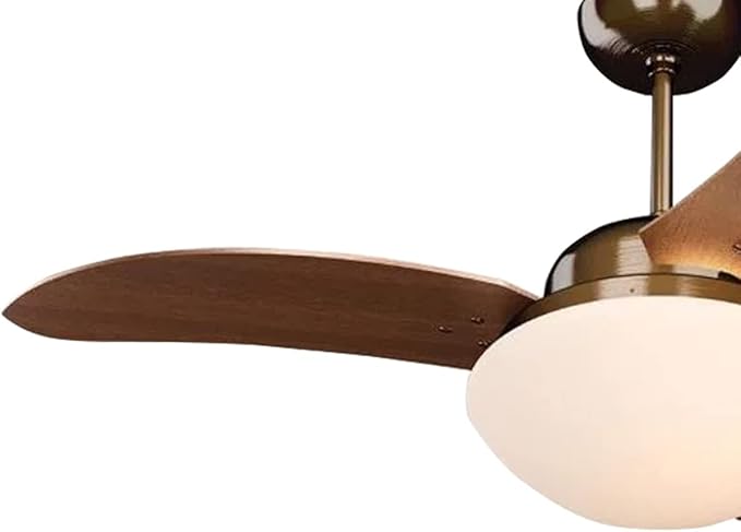 Ventilador de Teto Solano 3