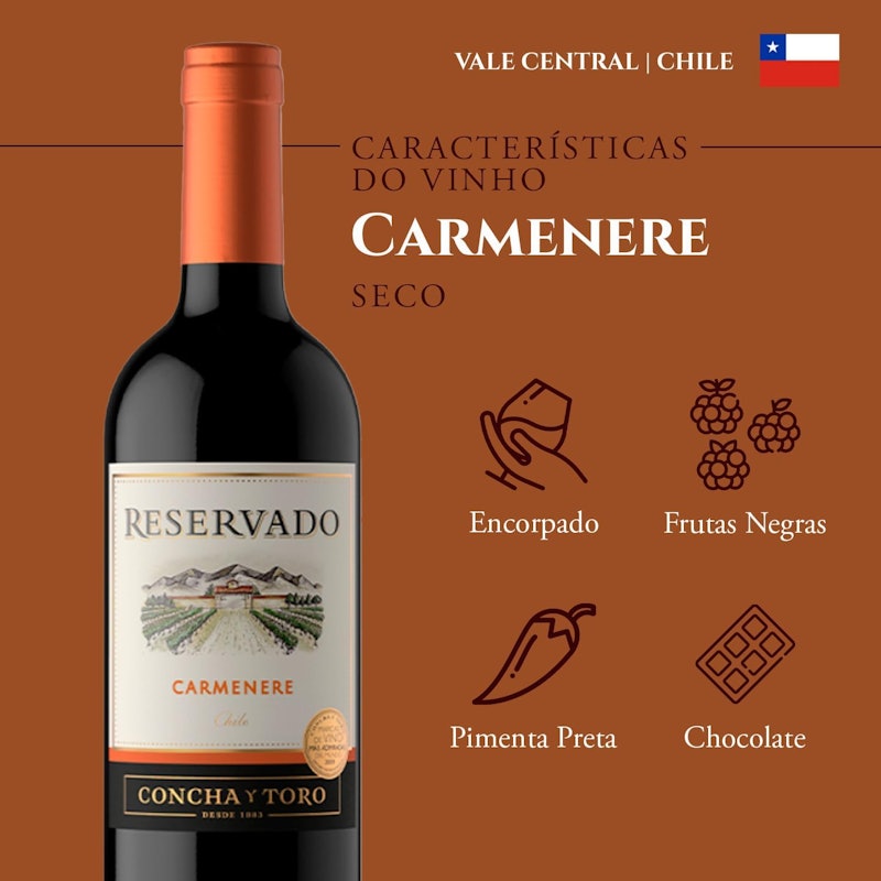 Vinho Carménère Reservado 4
