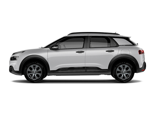 C4 Cactus 2