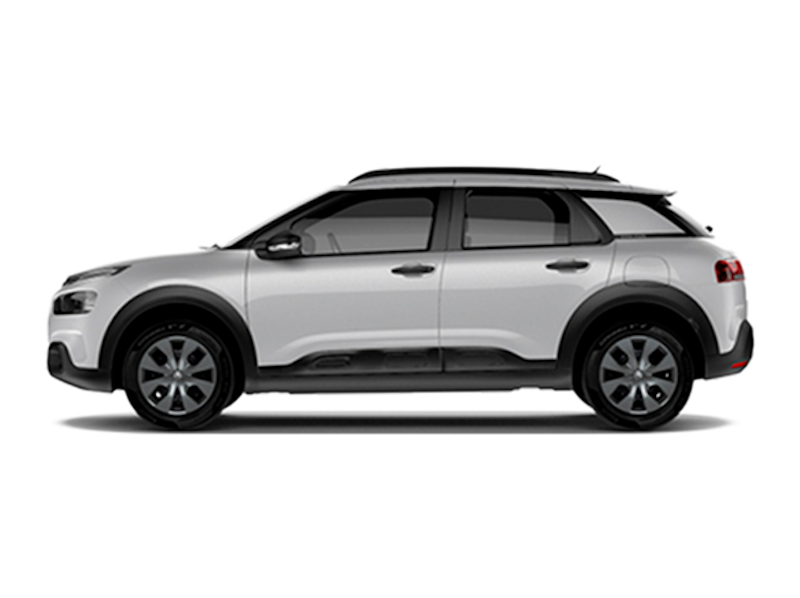 C4 Cactus 2