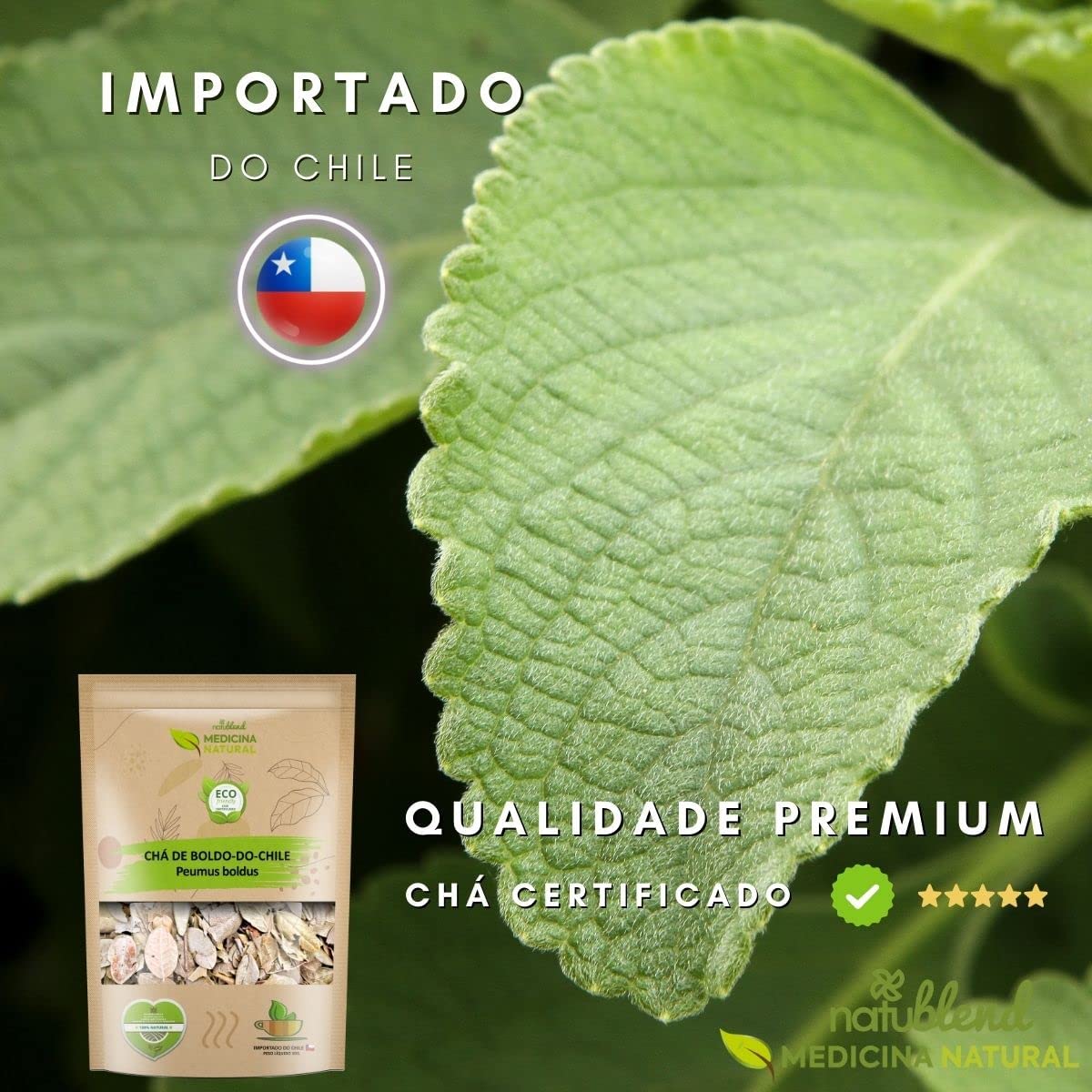 Chá de Boldo do Chile Orgânico 3