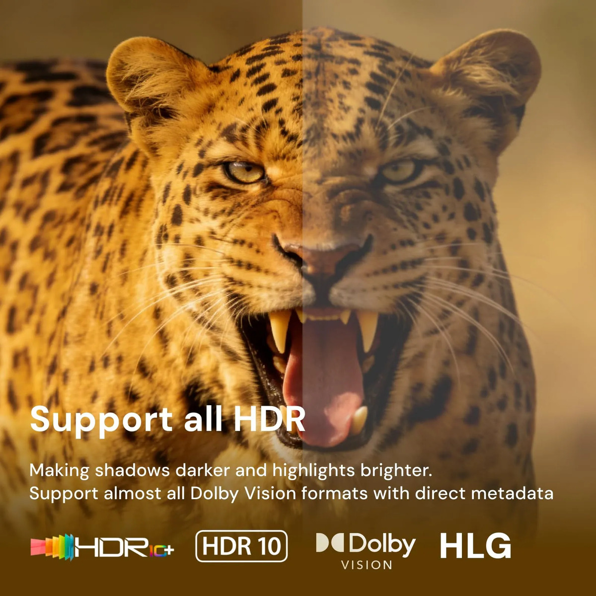 TV Box Z30 PRO Zidoo 3