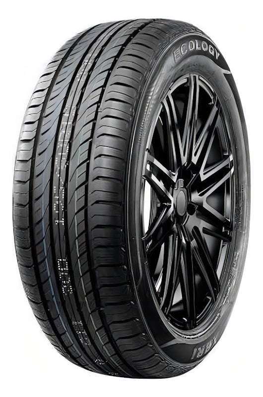Pneu Ecology 195/65R15 1