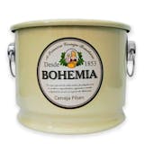 Top 10 Melhores Baldes de Cerveja (Lider Mix, Brasfoot e mais) 1