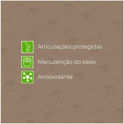 Ração Super Premium para Cães Sênior, Todas as Raças - 15 Kg 4