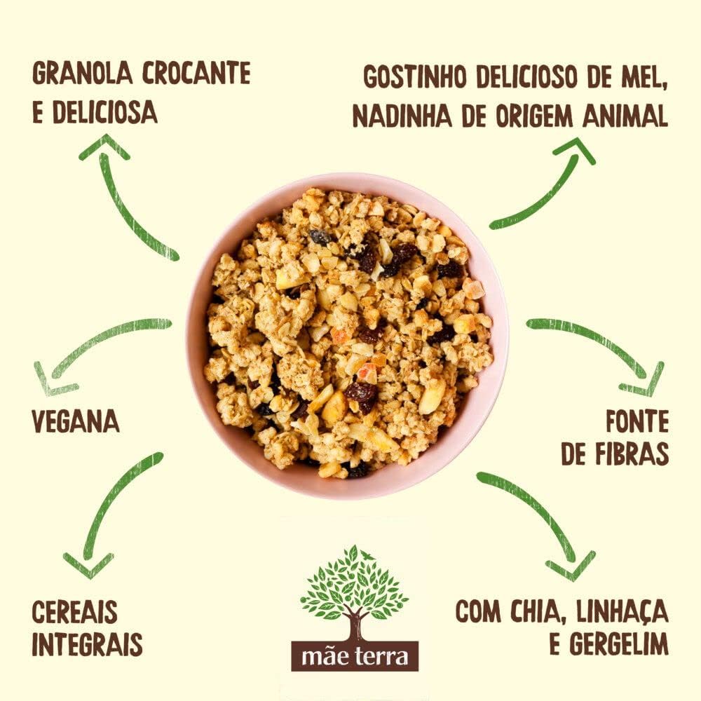 Granola Frutas e Mel Vegano 5