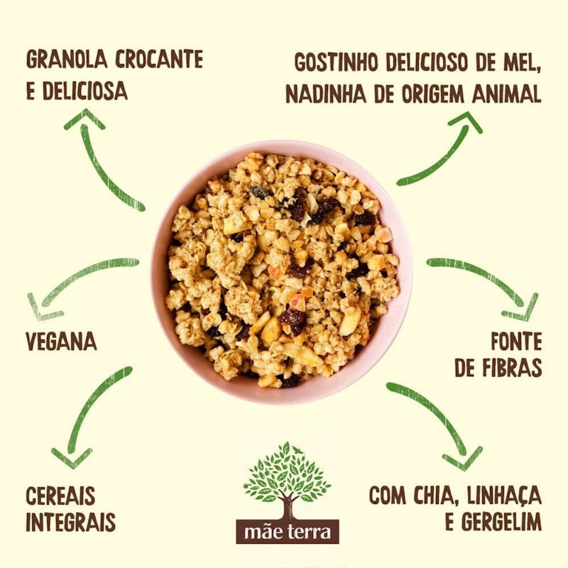 Granola Frutas e Mel Vegano 5