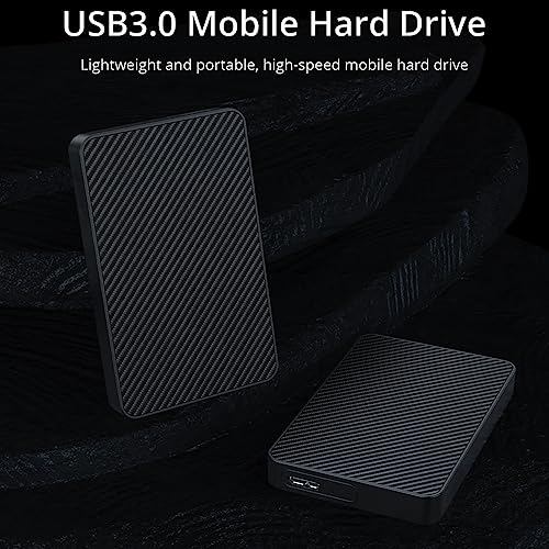 HD Expansion Portátil 500 GB 2