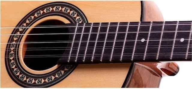 Viola Caipira Clássica Fosco Elétrica 4