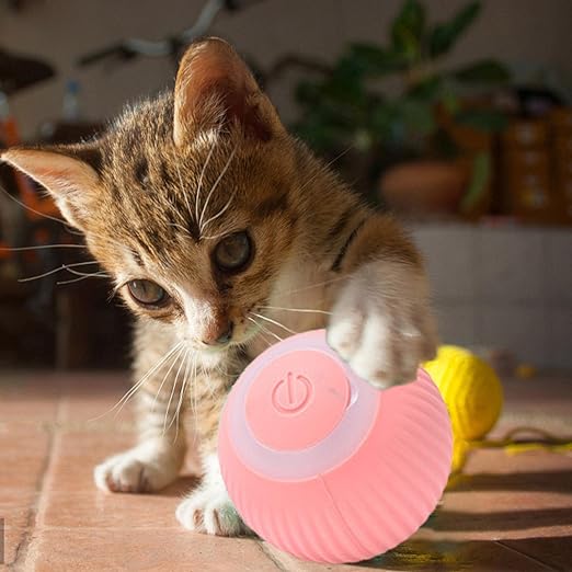 Bola de Brinquedo Interativa para Gatos 4