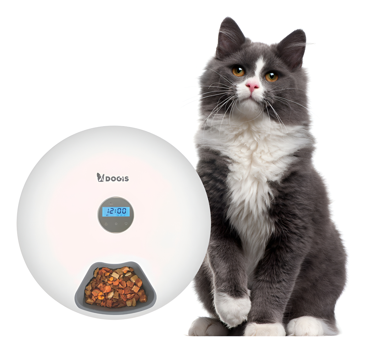 Comedouro Automático Pet Cachorro Gato Programador 4