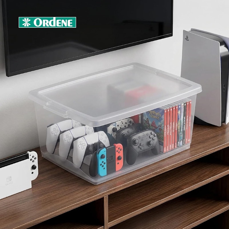 Organizador com Tampa 15 L 5