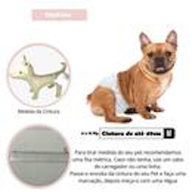 Fralda Faixa Higiênica para Cães Macho Dog's Care 3