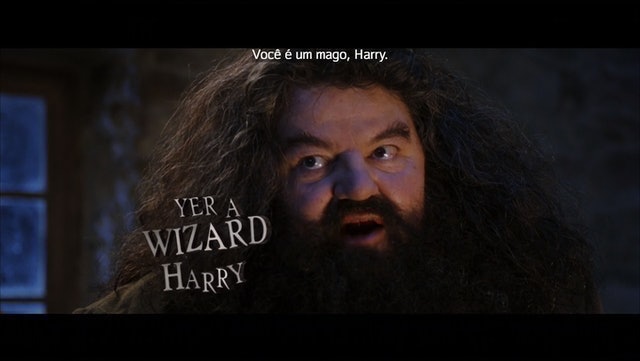 Harry Potter e a Pedra Filosofal (2001) 4