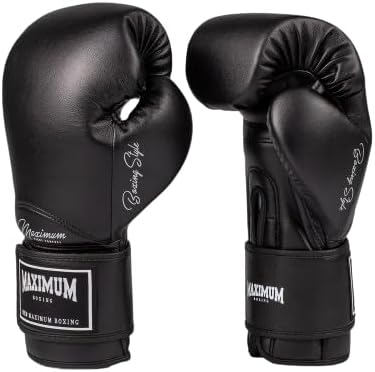 Top 10 Melhores Luvas de Boxe em 2025 (Adidas, Vollo e mais) mybest