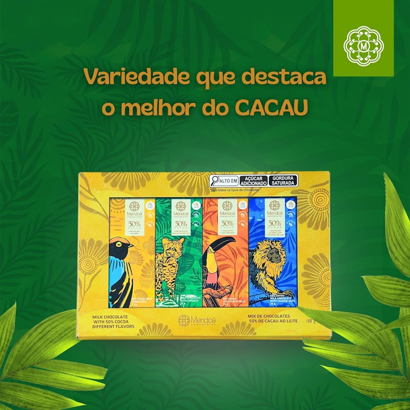 Caixa Presente Brasilis 3