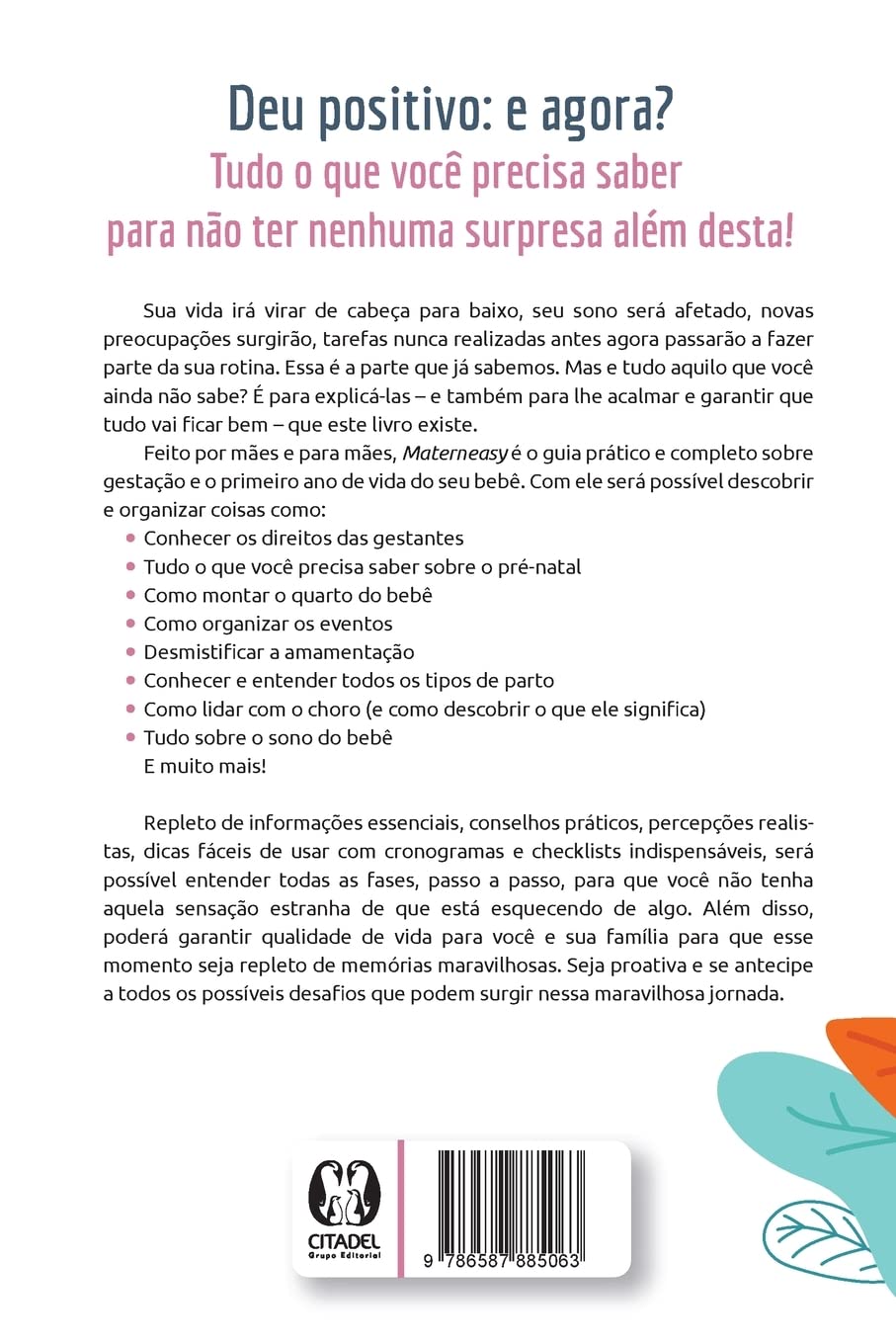 Materneasy - O Guia para a Maternidade Mais Fácil 2