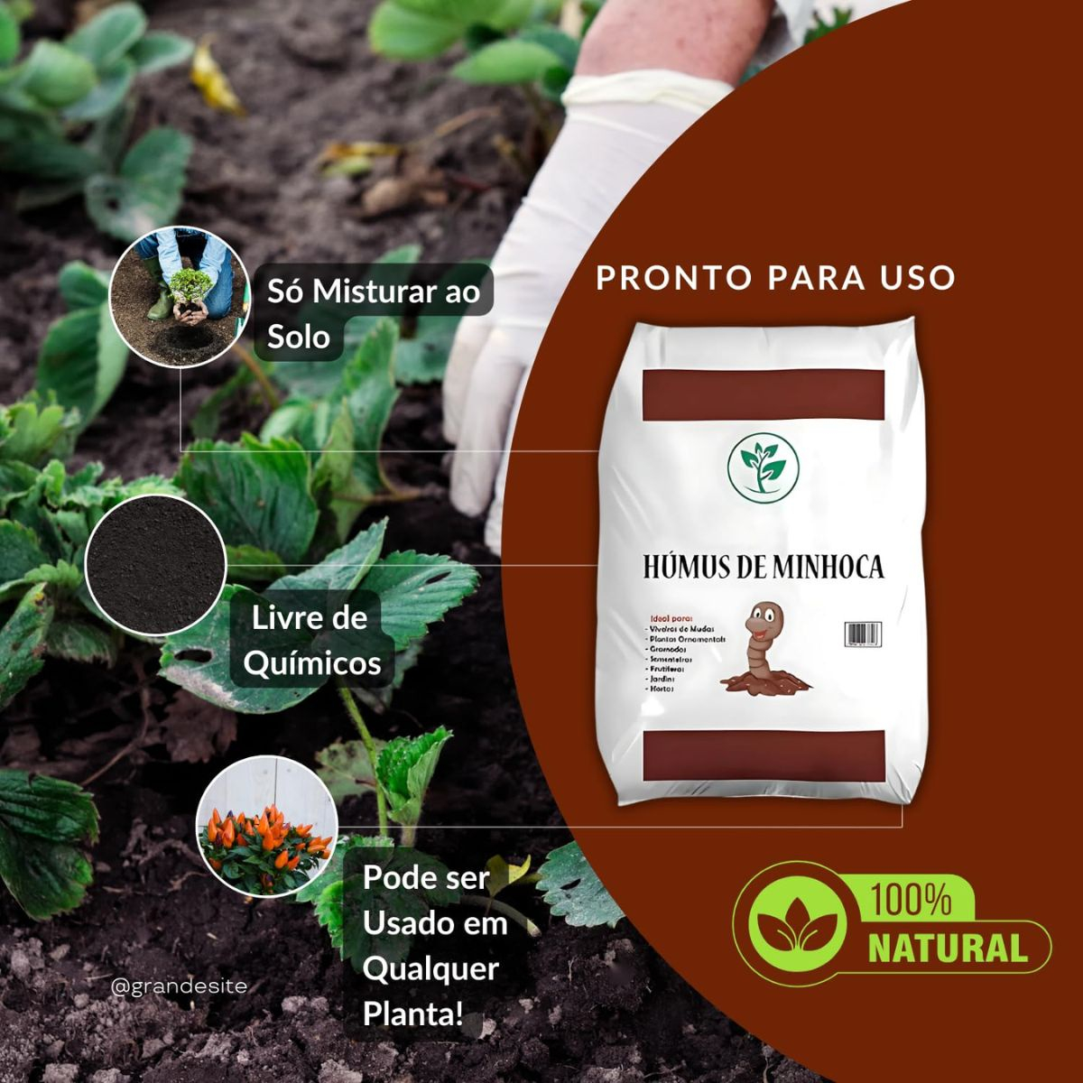 Humus de Minhoca 2 kg 4