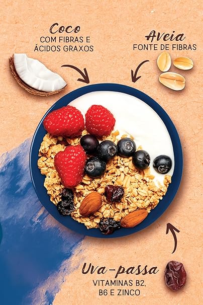 Granola Integral com Frutas Tradicional 2