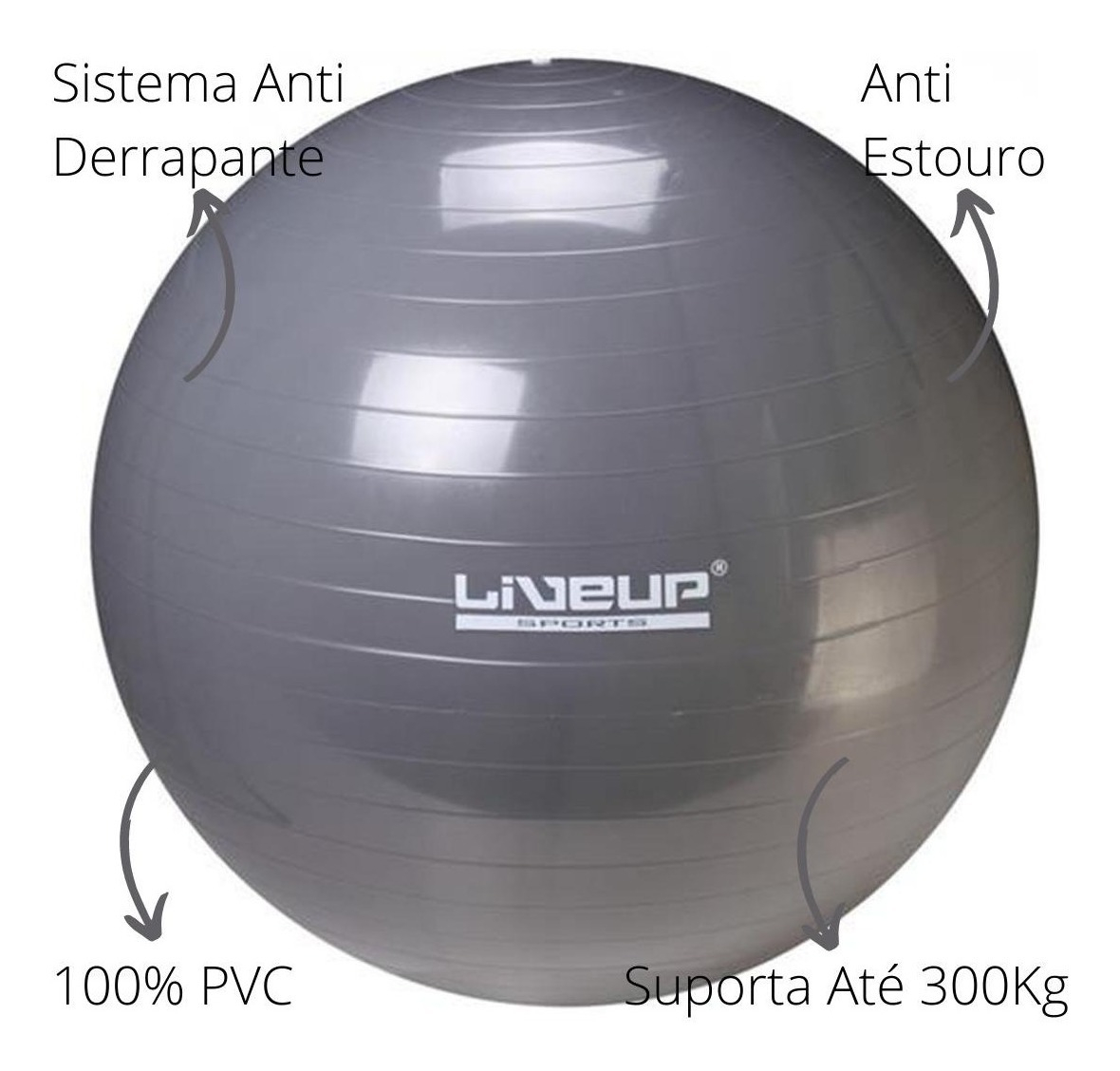 Bola Suiça Premium Live Up 2
