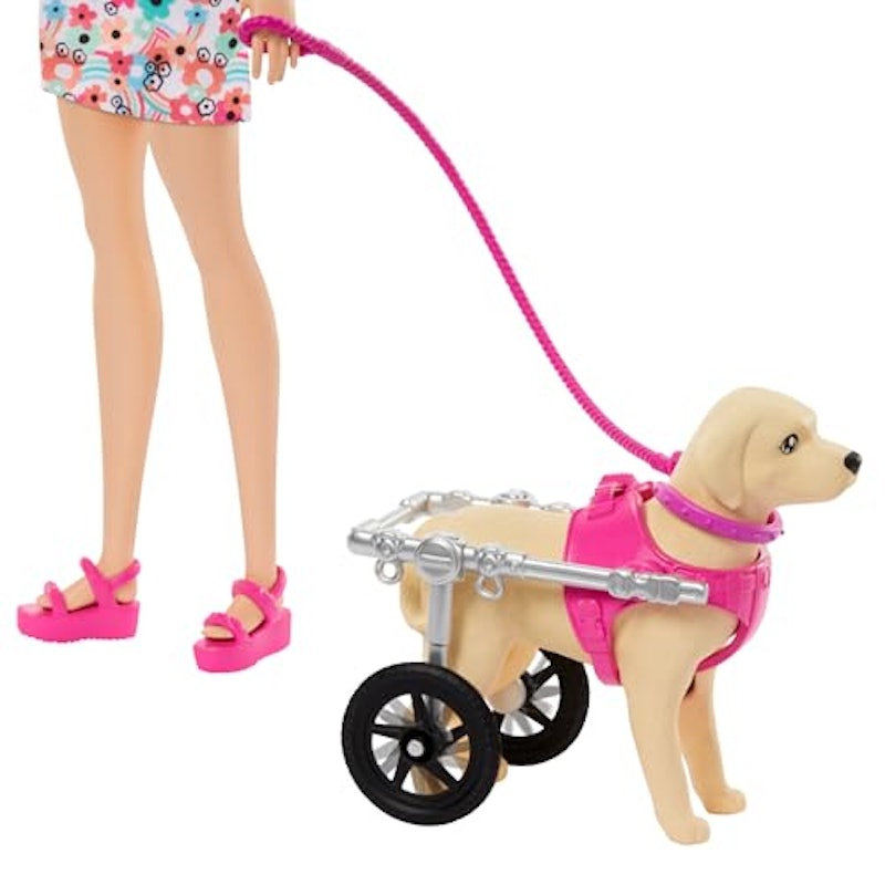 Barbie, Conjunto de Brinquedo, Passeio de Animais de Estimação com Cadeira de Rodas 2
