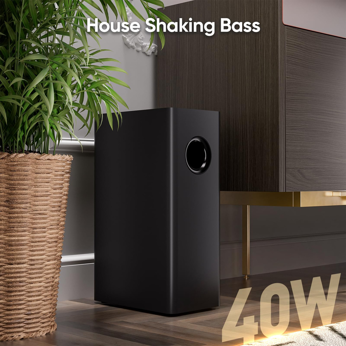 Sistema de Home Theater 2.1 Riowois 3