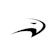 null Flying Eagle 1