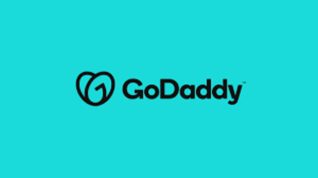 Go Daddy 1