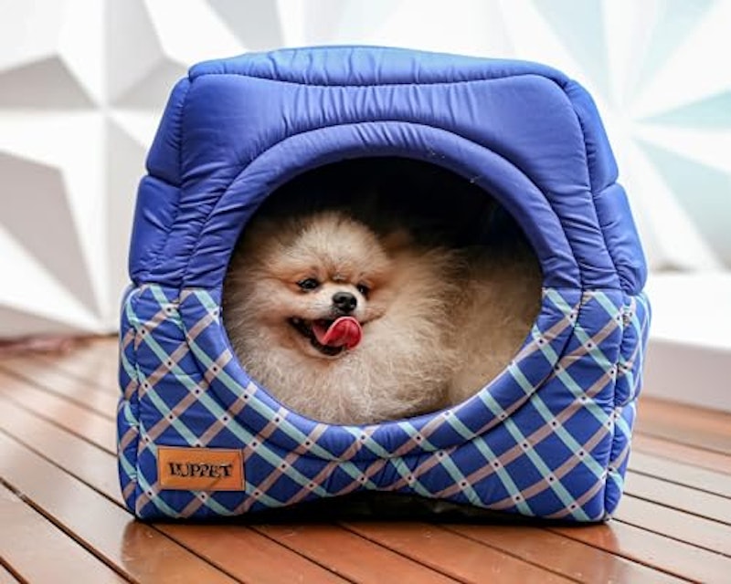 Cama Iglu e Toca para Cachorro Luppet Luxo 2